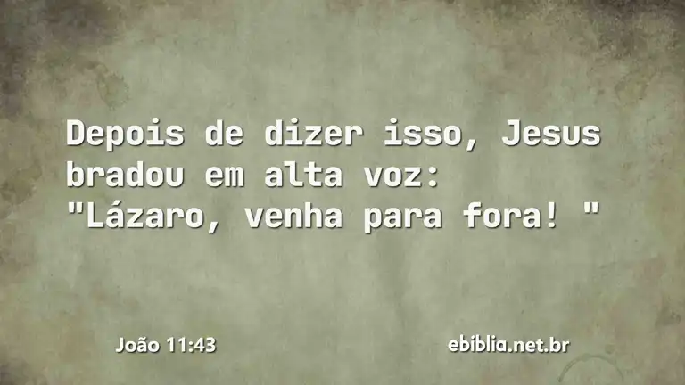 João 11:43