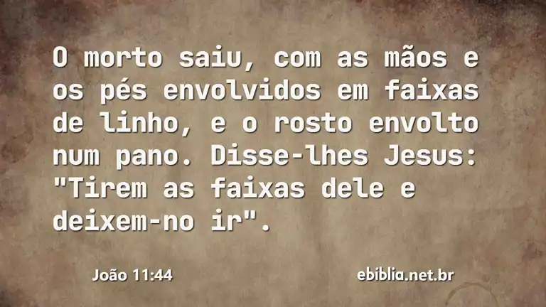 João 11:44