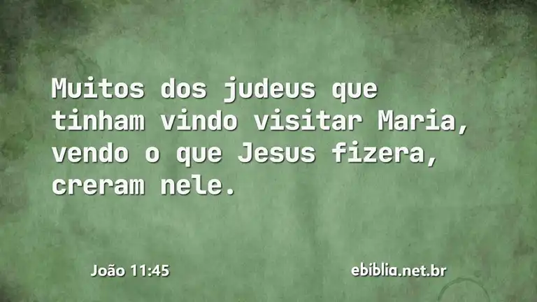 João 11:45