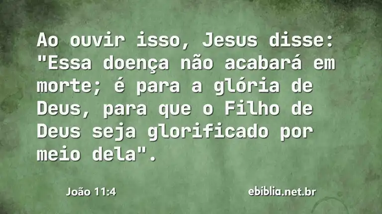 João 11:4