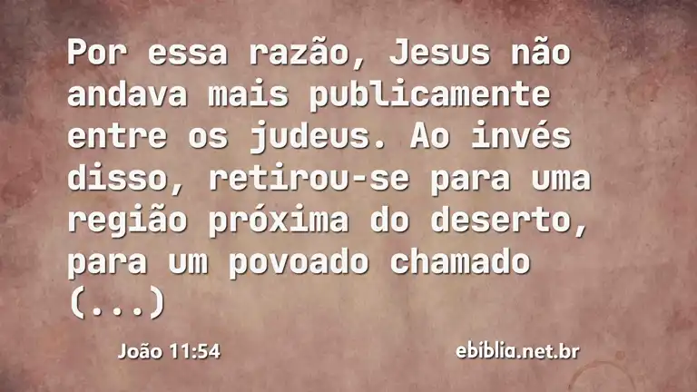 João 11:54