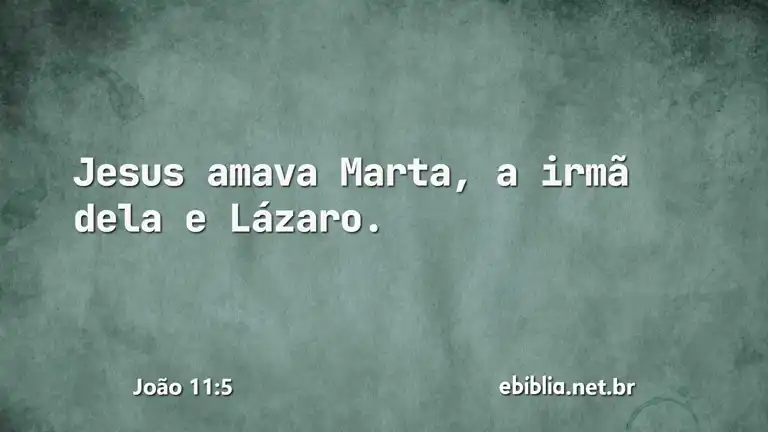 João 11:5