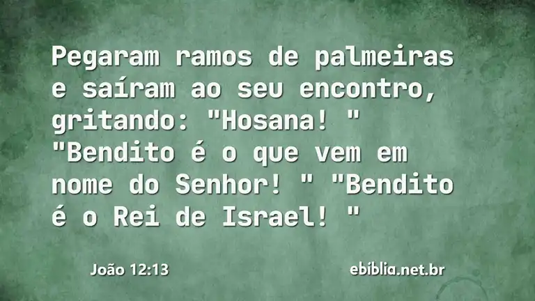 João 12:13