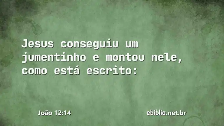 João 12:14