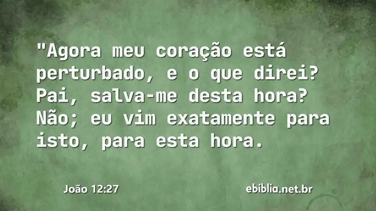 João 12:27