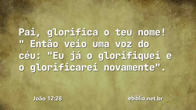 João 12:28