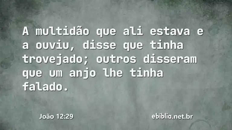 João 12:29