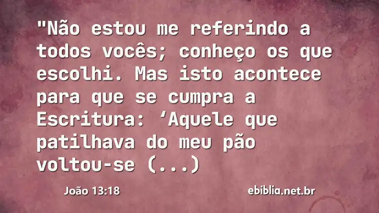 João 13:18