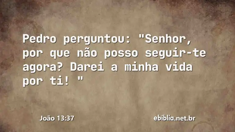 João 13:37