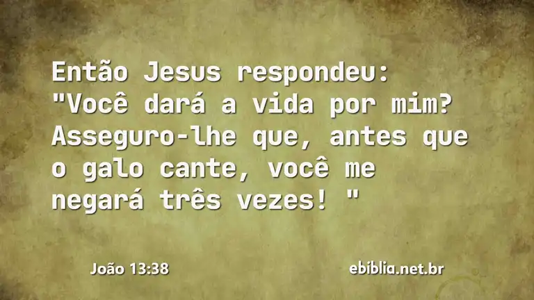 João 13:38