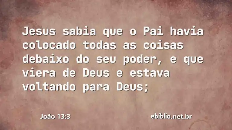 João 13:3