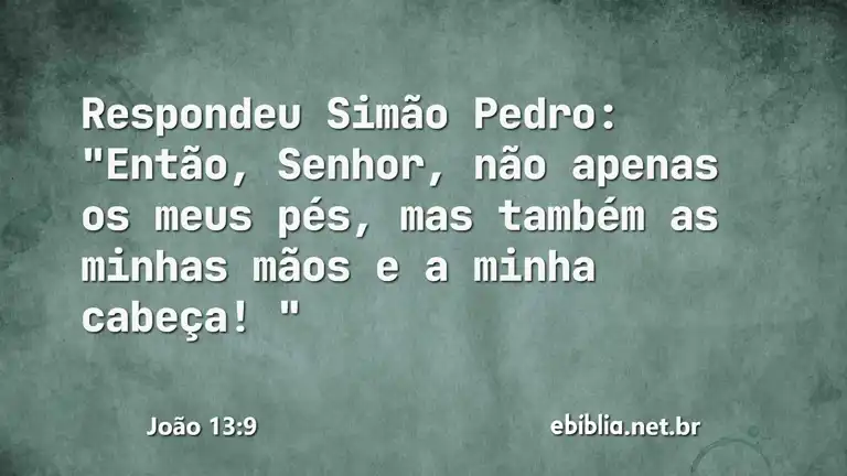 João 13:9