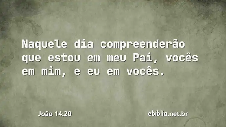 João 14:20