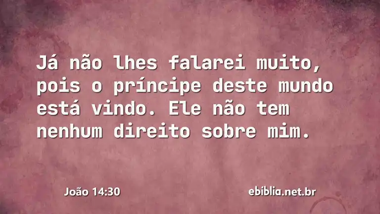 João 14:30