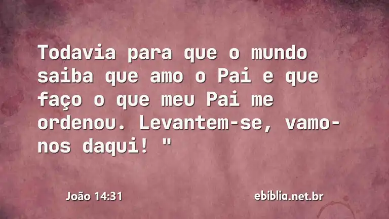 João 14:31