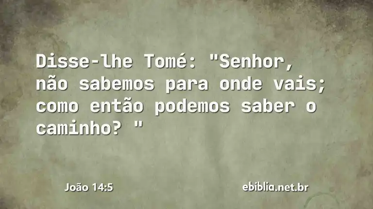 João 14:5