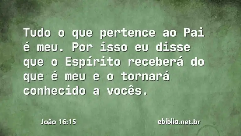 João 16:15