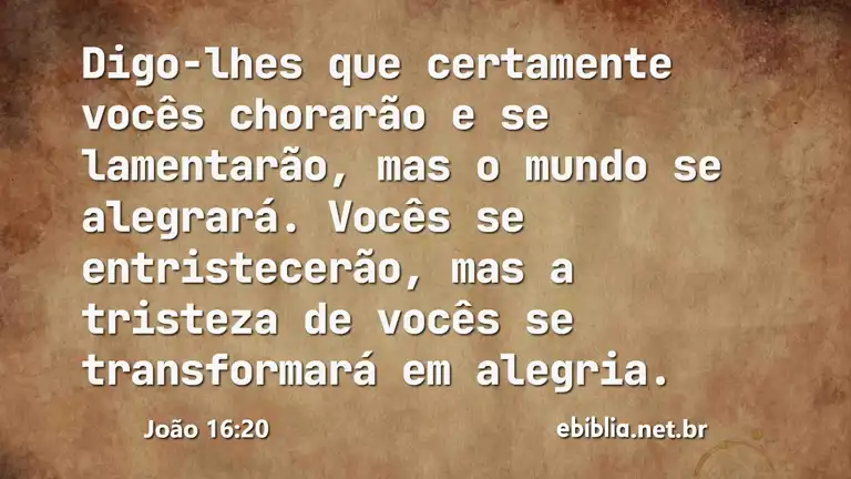 João 16:20