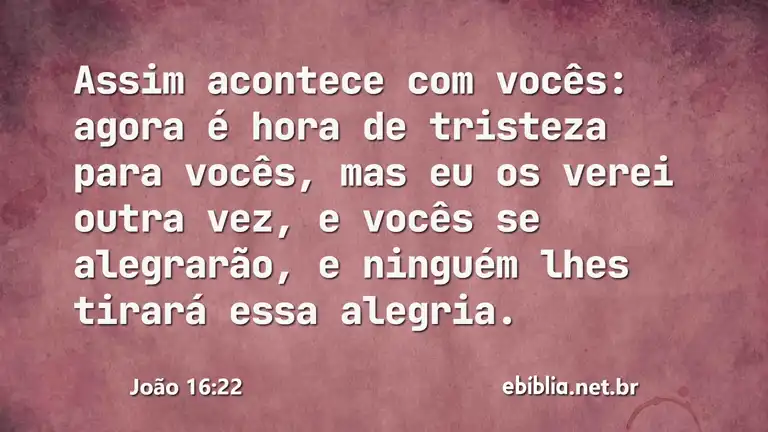 João 16:22