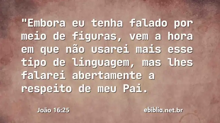 João 16:25