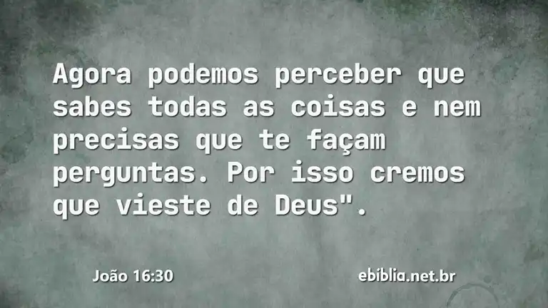 João 16:30