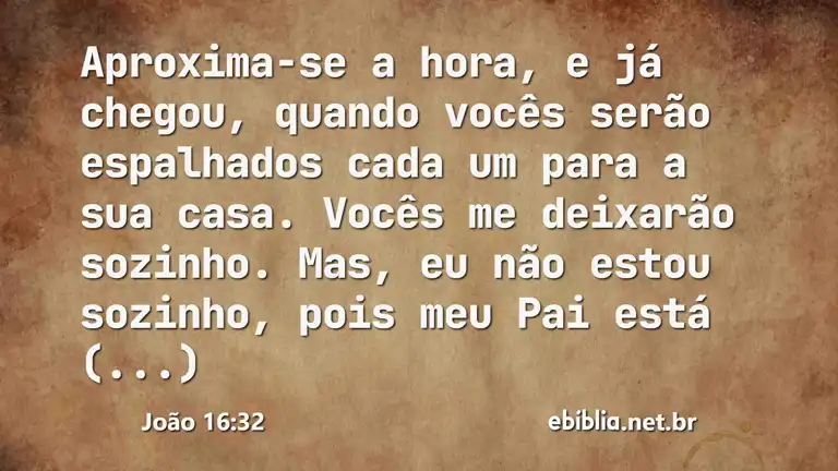 João 16:32