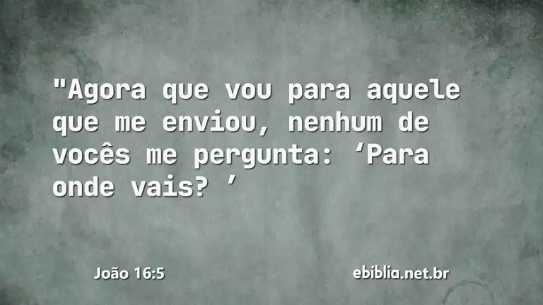 João 16:5