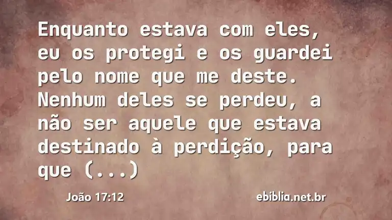 João 17:12