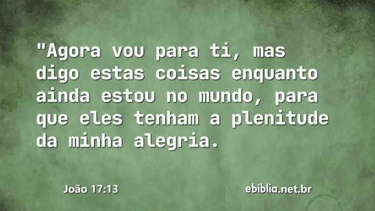 João 17:13