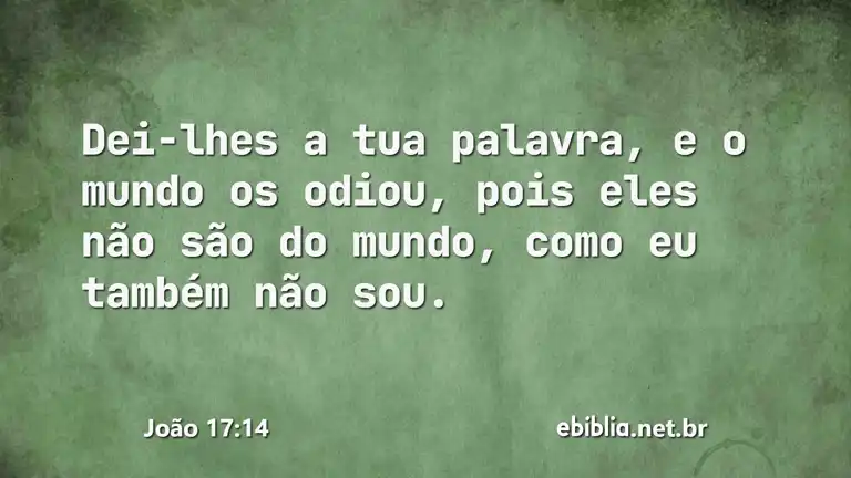 João 17:14