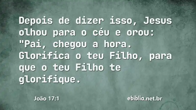 João 17:1