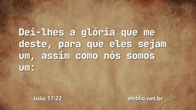 João 17:22