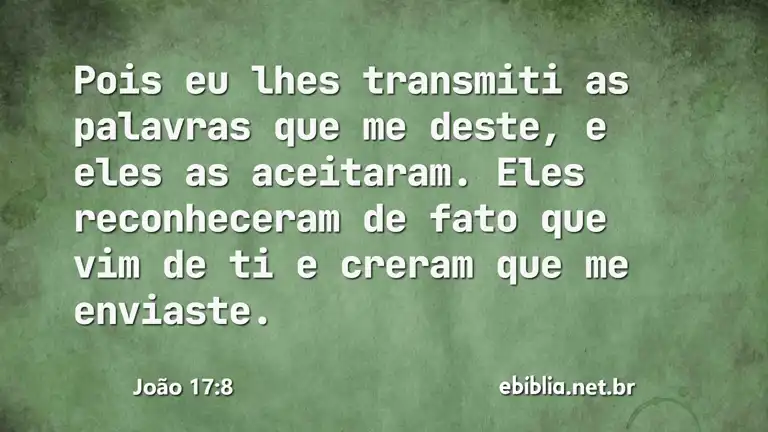 João 17:8