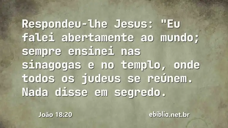 João 18:20