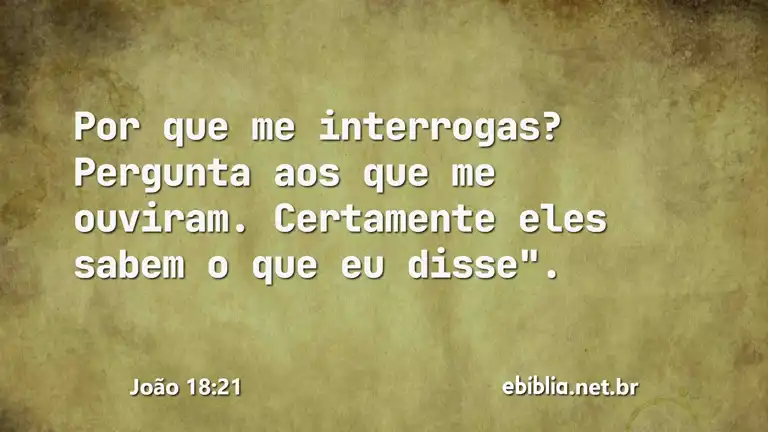 João 18:21