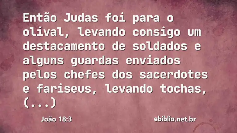 João 18:3