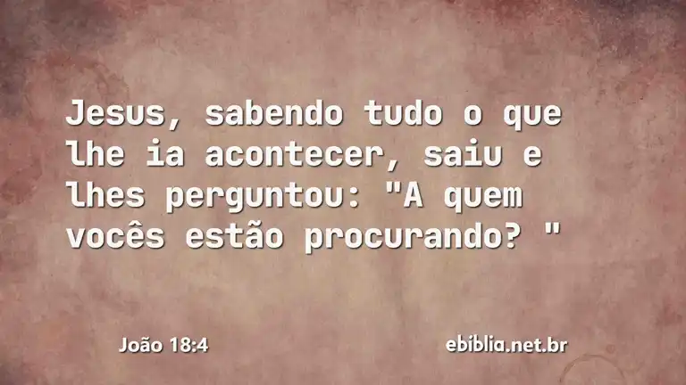 João 18:4