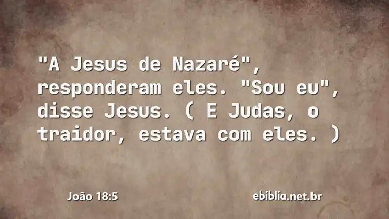 João 18:5