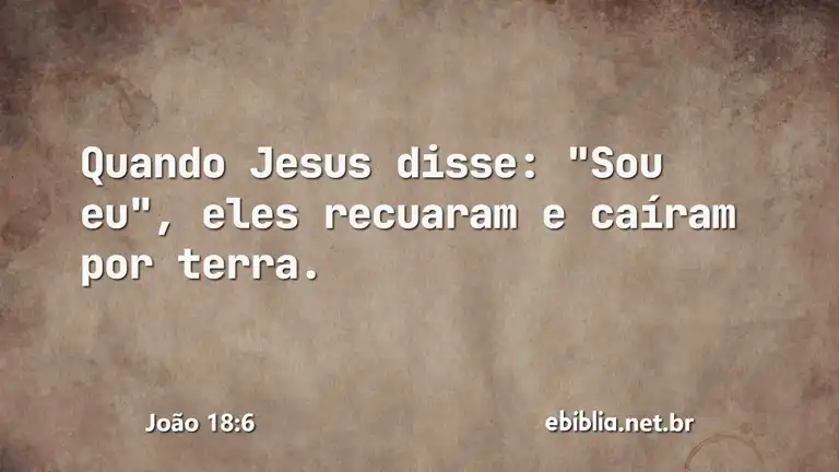 João 18:6