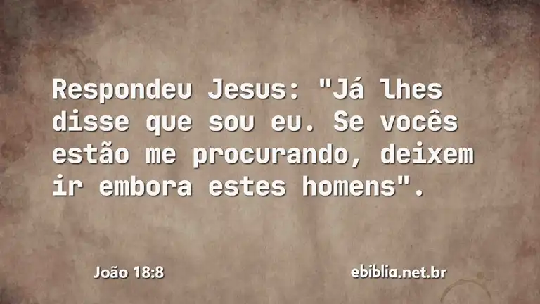 João 18:8