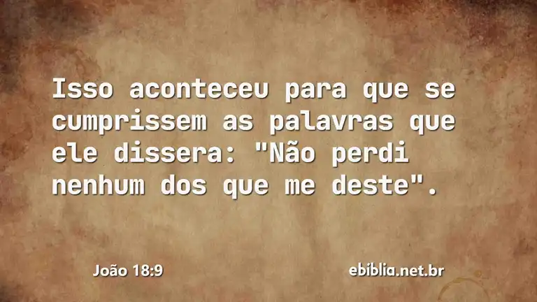 João 18:9