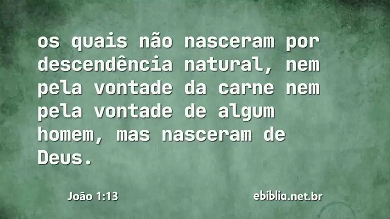 João 1:13