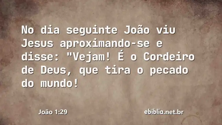 João 1:29