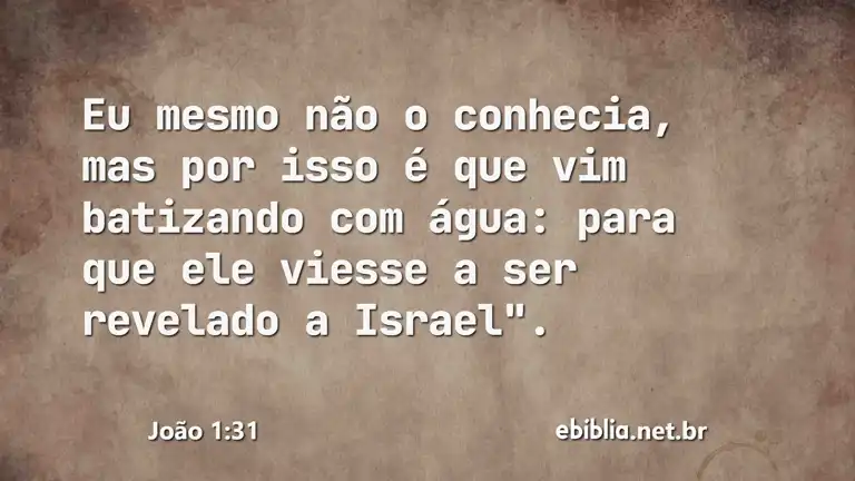 João 1:31