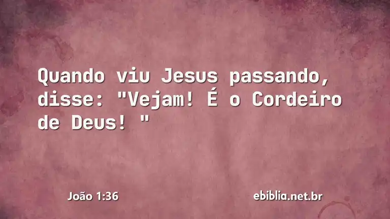 João 1:36