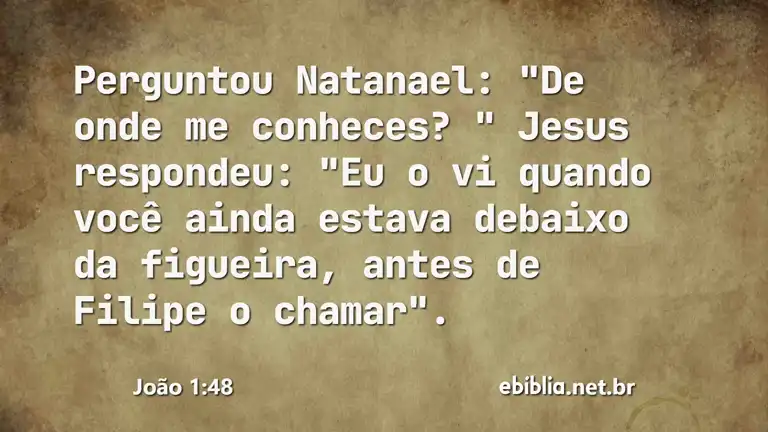 João 1:48