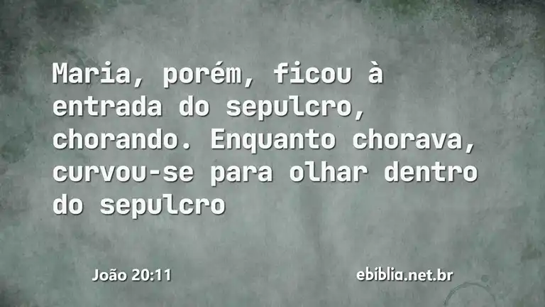 João 20:11