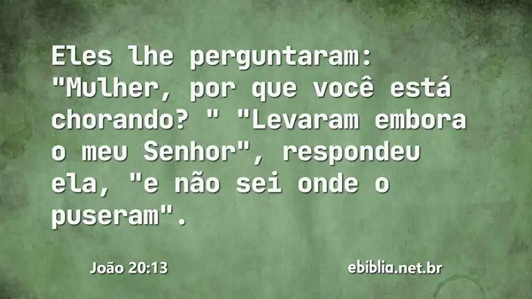 João 20:13