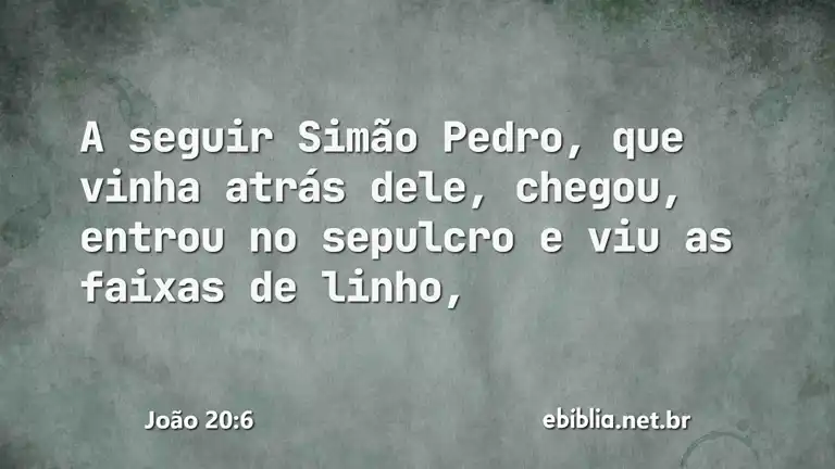 João 20:6