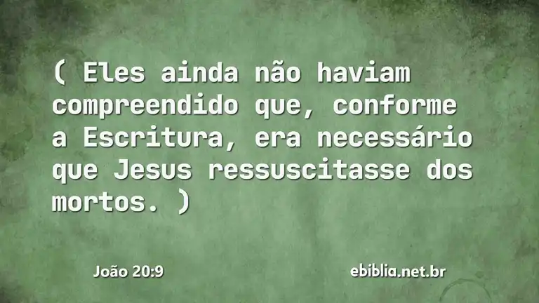 João 20:9